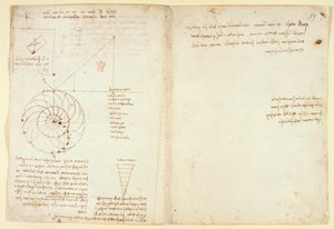 Arundel 263 f.44v，f.59 一张脸部轮廓的眼睛和鼻子素描；关于水的注释，选自 "Codex Arundel"（纸上的钢笔和墨水）。 作者 达芬奇（Leonardo da Vinci）