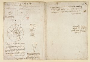 Arundel 263，f.44v，f.59 一张脸部轮廓的眼睛和鼻子素描；关于水的注释，选自 "Codex Arundel"（纸上的钢笔和墨水）。 作者 达芬奇（Leonardo da Vinci）