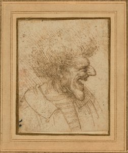 浓密头发男子的漫画 作者 达芬奇（Leonardo da Vinci）