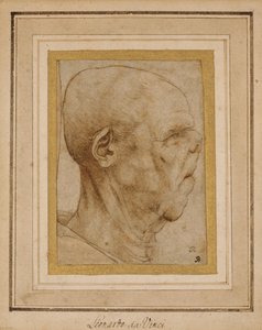 一位老人的头的讽刺画，在右侧，大约c.1507 作者 达芬奇（Leonardo da Vinci）