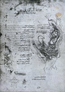 半封闭的男人和女人的传统，传真副本 作者 达芬奇（Leonardo da Vinci）