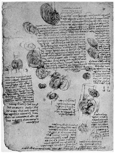 1954年15世纪末或16世纪初的心脏血液涡流图 作者 达芬奇（Leonardo da Vinci）