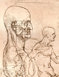 图示说明人类比例理论的图，c1472-c1519 1883 作者 达芬奇（Leonardo da Vinci）