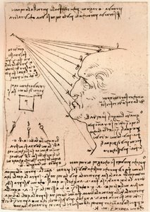 男性头像的绘画，描绘绘画的作法，c1472-c1519 1883 作者 达芬奇（Leonardo da Vinci）