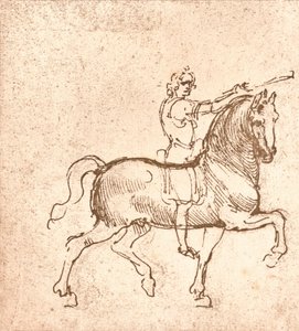 步行马的绘画，c1472-c1519 1883 作者 达芬奇（Leonardo da Vinci）
