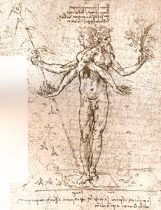 寓言构图的绘图，c1472-c1519 1883 作者 达芬奇（Leonardo da Vinci）