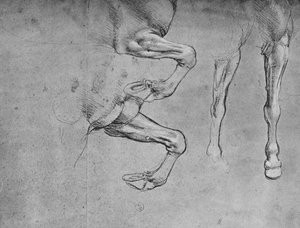 马腿四研究，c1480 1945年 作者 达芬奇（Leonardo da Vinci）