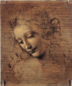 女人的头 作者 达芬奇（Leonardo da Vinci）