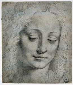 Giovanni Antonio Boltraffio (Beltraffio) (1467 - 1516) (Leonard de Vinci 最著名的学生): Verrocchio 的男孩冠冕, GDSU 425 E 作者 达芬奇（Leonardo da Vinci）