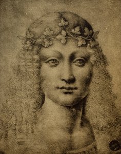 一个女孩或一个年轻的Bachus的头;莱昂纳多达芬奇画的。 Gallerie dellAccademia，威尼斯 作者 达芬奇（Leonardo da Vinci）