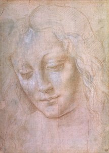 一个女人的头（金属点用水粉加高） 作者 达芬奇（Leonardo da Vinci）