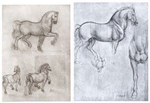 马，c1490-1510 作者 达芬奇（Leonardo da Vinci）