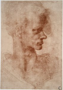 列奥纳多·达·芬奇（Leonardo da Vinci）（1452 - 1519）：一个年轻人的漫画肖像（想象） 作者 达芬奇（Leonardo da Vinci）