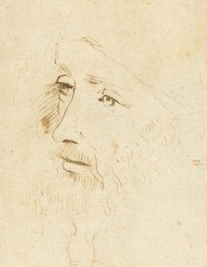 达芬奇的画像，约1518年。 作者 列奥纳多·达·芬奇，