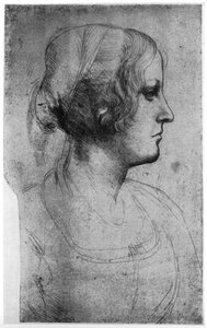 15世纪，1954年，一个年轻女孩头的肖像研究。 作者 达芬奇（Leonardo da Vinci）