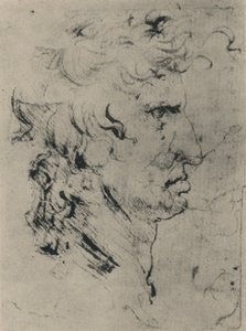 一个右边的人的简介，c1480 1945 作者 达芬奇（Leonardo da Vinci）