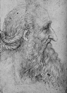 右大胡子老人的简介，c1480 1945年 作者 达芬奇（Leonardo da Vinci）