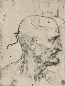 秃头男子的头像，c1480 1945年 作者 达芬奇（Leonardo da Vinci）