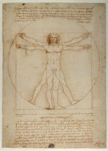 根据维特鲁威的人形比例方案 作者 达芬奇（Leonardo da Vinci）