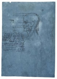 男性头部轮廓的比例研究 作者 达芬奇（Leonardo da Vinci）