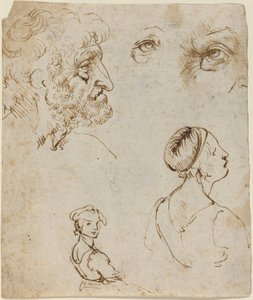 研究报告单 [正面］ 作者 达芬奇（Leonardo da Vinci）