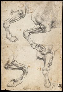 马腿研究 作者 达芬奇（Leonardo da Vinci）
