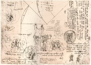 标志研究，c1472-c1519 1883 作者 达芬奇（Leonardo da Vinci）