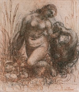 达芬奇（1452-1519）的《莱达和天鹅研究》，图画 作者 达芬奇（Leonardo da Vinci）