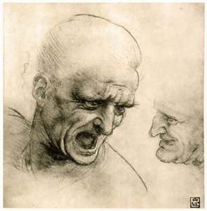 研究战士的头部 作者 达芬奇（Leonardo da Vinci）