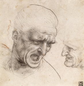 安吉利战役两个勇士头像的研究 作者 达芬奇（Leonardo da Vinci）