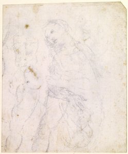 圣母的研究[背面] 作者 达芬奇（Leonardo da Vinci）