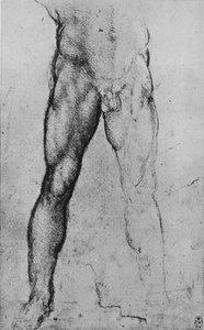 正面朝下的裸体男子下半身研究，c1480，1945年