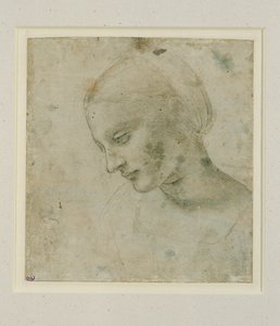 女人的头部几乎是侧面... 作者 达芬奇（Leonardo da Vinci）