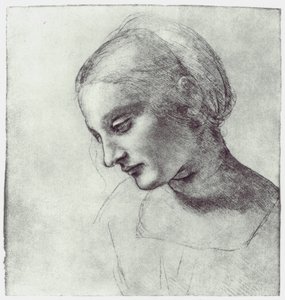 麦当娜的头，c1484-1486 作者 Leonardo da Vinci