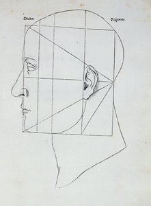 人头，Luca Pacioli（1445-1517）的“Divina Proportione”插图，1509 作者 达芬奇（Leonardo da Vinci）