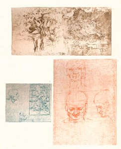 三幅图，c1472-c1519 1883 作者 达芬奇（Leonardo da Vinci）