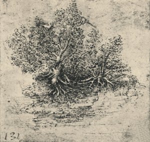 溪岸两棵树，c1480 1945年 作者 达芬奇（Leonardo da Vinci）