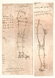 两幅图说明了人物比例的理论，c1472-c1519 1883 作者 达芬奇（Leonardo da Vinci）