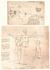 两幅图说明了人物比例的理论，c1472-c1519 1883。 作者 达芬奇（Leonardo da Vinci）