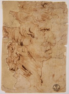 图片不明 作者 达芬奇（Leonardo da Vinci）
