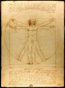 维特鲁威人 作者 达芬奇（Leonardo da Vinci）
