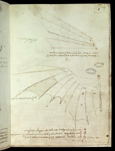 Wing. Flying machine drawing. Manuscript by Leonard De Vinci (Leonardo da Vinci 作者 达芬奇（Leonardo da Vinci）