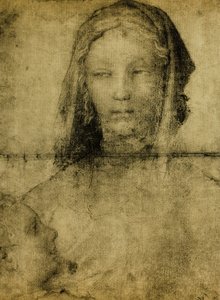 对圣母的研究;来自莱昂纳多学院的绘画。巴黎的卢浮宫 作者 达芬奇学校