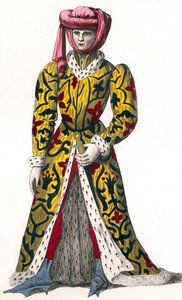 路易·德拉·特雷莫耶 (Louis De La Tremoille)，查理七世统治时期的茹瓦尼伯爵