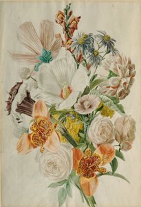 芙蓉和百合花束 作者 利奥波德·冯·斯托尔