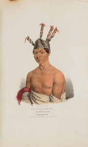 WAA-KAUN-SEE-KAA 或响尾蛇；一位温尼贝戈酋长，选自《原住民作品集 作者 刘易斯，詹姆斯·奥托