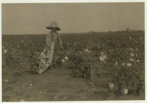 5岁的Willie Hesse每天在父母占地80英亩的农场挑选15磅棉花，1913年在德克萨斯州西部附近 作者 刘易斯·威克斯·海恩