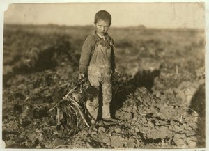 1915年，在科罗拉多州斯特林附近的一个农场，6岁的乔拉甜菜 作者 刘易斯·威克斯·海恩