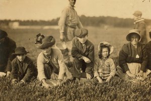 Annette Roy说是7岁，Napoleon Ruel说是在1911年在马萨诸塞州南卡弗的Smart&39;s Bog采摘蔓越莓9 作者 刘易斯·威克斯·海恩