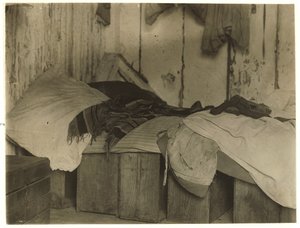 De Marco于1910年在新泽西州彭伯顿附近的土耳其城Forsythe&39;s Bog进行蔓越莓采摘 作者 刘易斯·威克斯·海恩